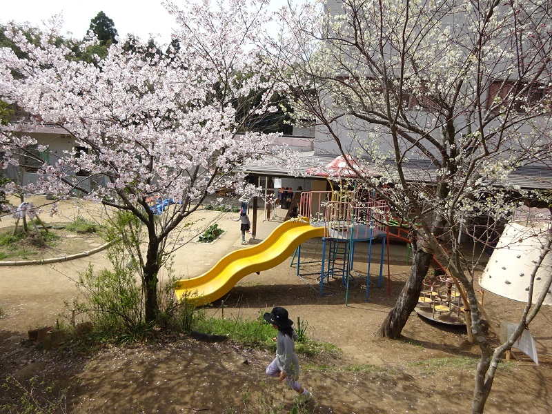 sakuranbo nursery school